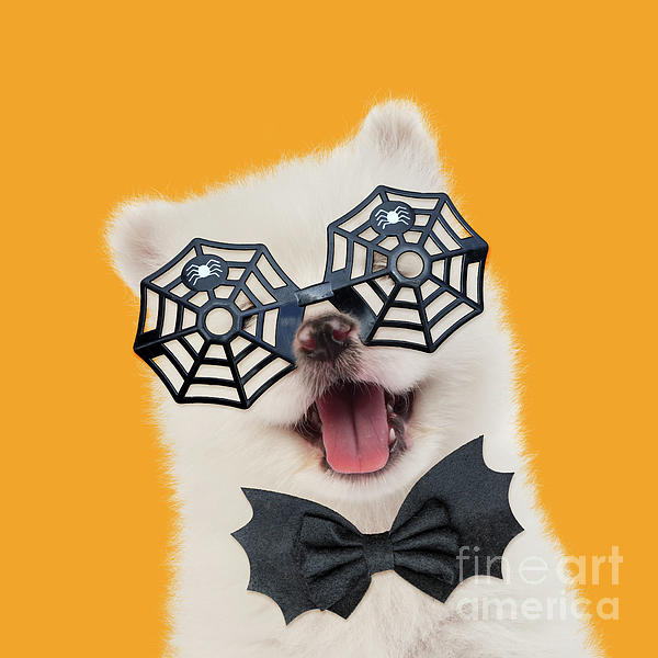 Samoyed Dog puppy wearing Halloween glasses and bow tie Tote Bag