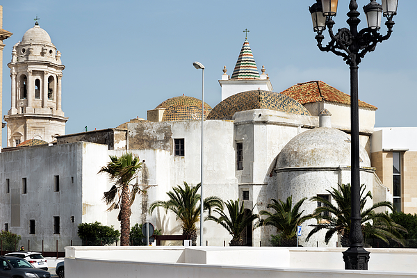 Santa Cruz Church old Cathedral in Cadiz interior Shower Curtain