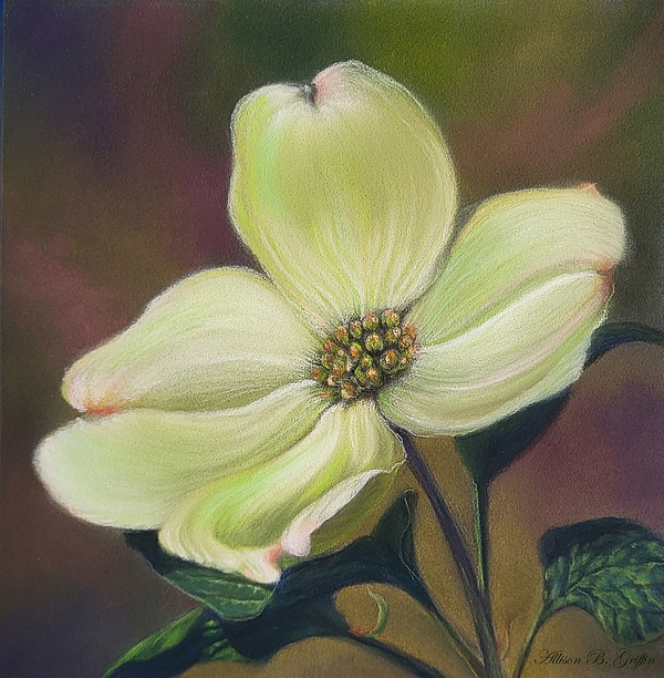 Allison Griffin - Savoir Vivre - Dogwood Blossom in Soft Pastels 