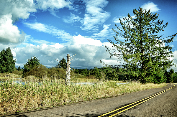 Jack Andreasen - Scenic Drive 1 - Tillamook - Oregon
