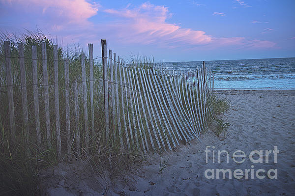 Sunset Photographs