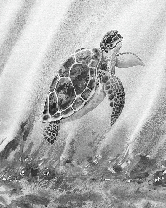 Irina Sztukowski - Sea Turtle Gray Watercolor Ocean Creature X
