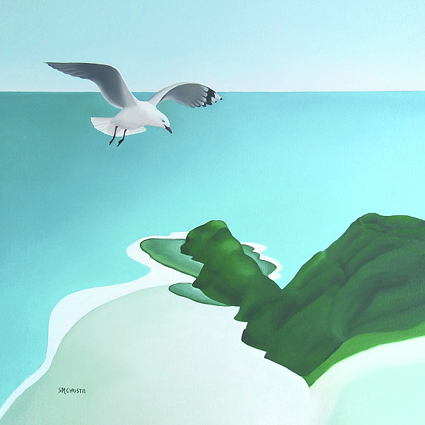 Susan Christie - Seagull flying over Cape Reinga, New Zealand