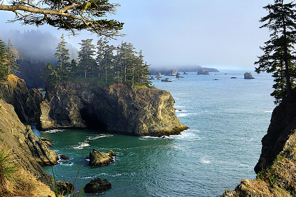 Seal Point Oregon Coast 7 Puzzle For Sale By Justjeffaz Photography