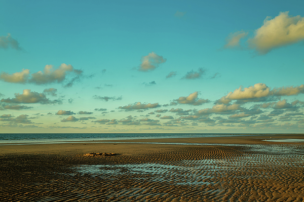 Seascape Art