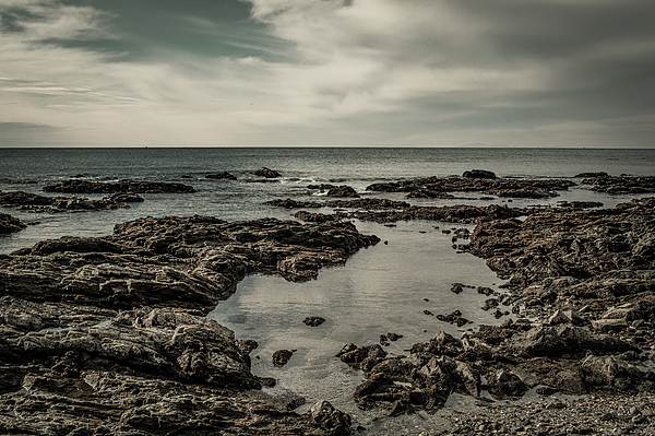 Sea Art