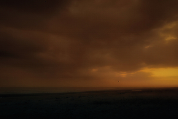 Sunrise Photographs