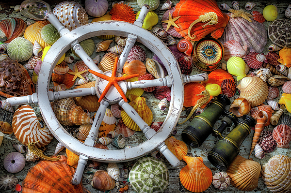 Colorful Piles Of Seashells Photograph by Garry Gay - Pixels