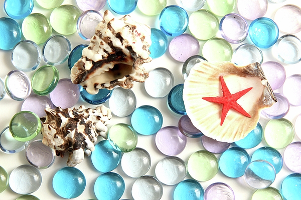 Masha Batkova - Seashells Starfish and Glass