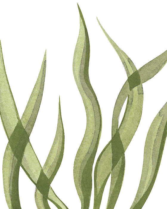 Irina Sztukowski - Seaweed Flow Watercolor I