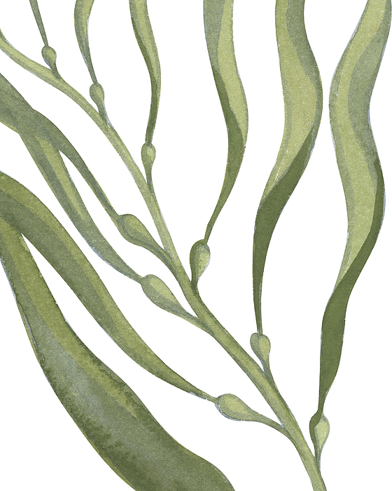 Irina Sztukowski - Seaweed Flow Watercolor V