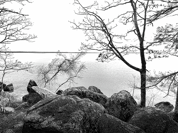 Scott Loring Davis - Sebago Lake Tranquility in Black and White