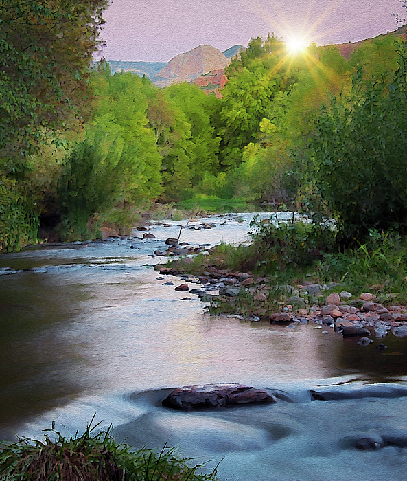 Nature Photographs
