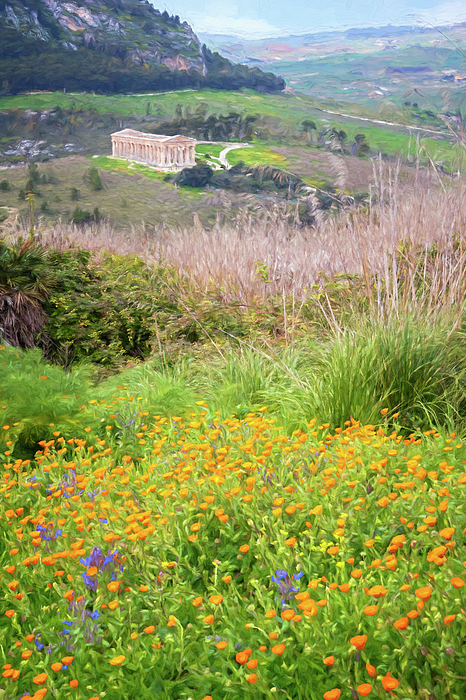 Joan Carroll - Segesta Sicily Temple and Wildflowers Painterly