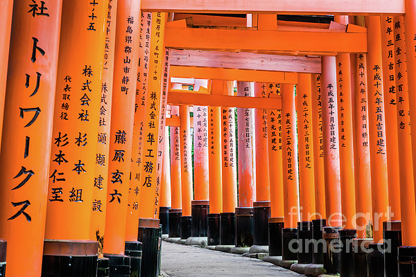 Senbon Torii At Fushimi Inari Taisha Shrine Kyoto 5 Puzzle For Sale By Lyl Dil Creations