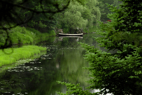 Nature Photographs