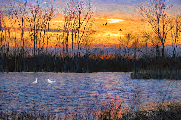 Peaceful Art