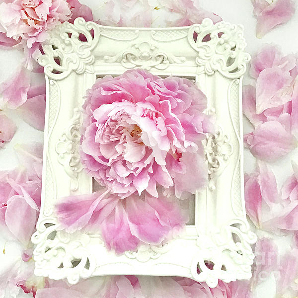 Pastel Pink Peony Flowers - Pink Peony Decor - Peonies - Shabby