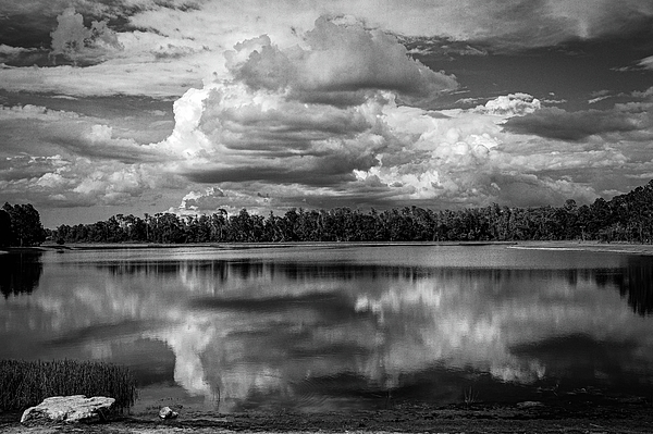 Edward Meehan - Shadowy Clouds at Cannon Lake