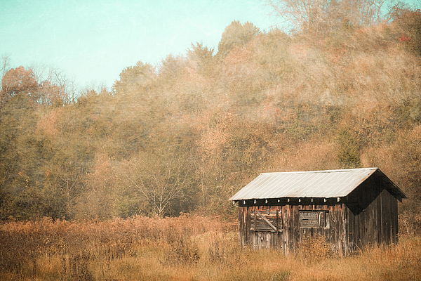 Jim Love - Shed In An Autumn Pasture 2