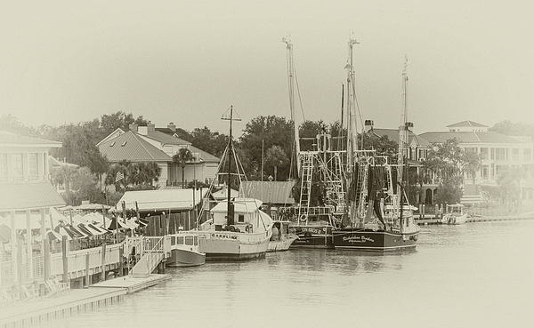 Steve Rich - Shem Creek Docked Shrimpboats - Antique