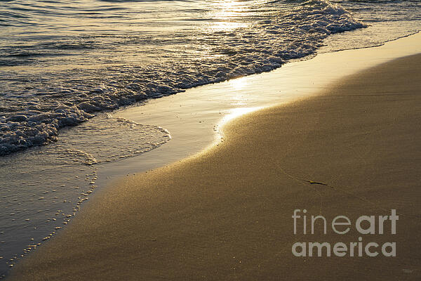 Jennifer White - Shimmering Gold Seashore Florida Beach Sunset