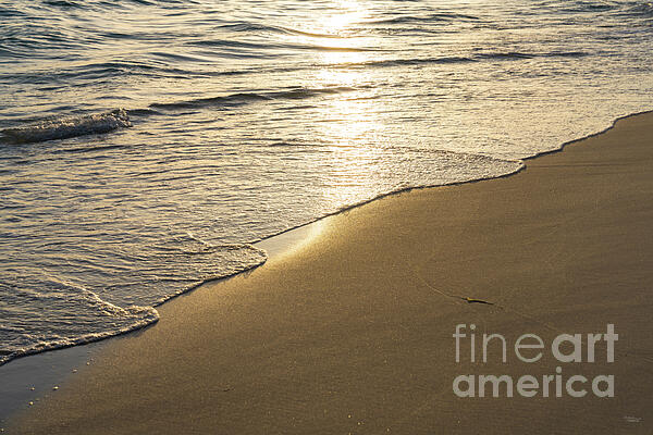 Jennifer White - Shimmering Golden Seashore Florida Beach Sunset