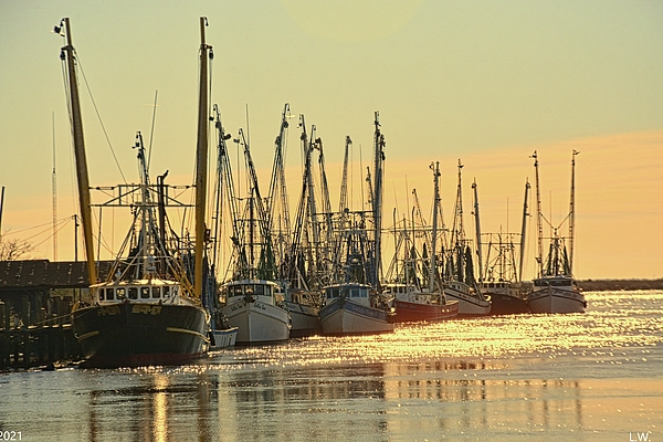 Lisa Wooten - Shrimp Boats Darien Georgia Waterfront