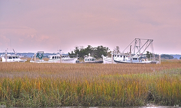 Lisa Wooten - Shrimp Boats On The Marsh