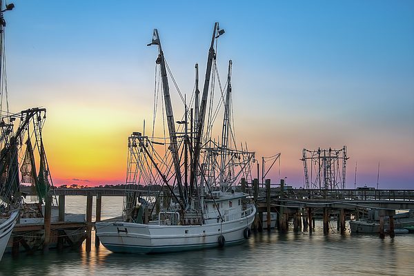 Steve Rich - Shrimping Fleet - Port Royal South Carolina 4