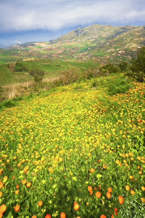 Joan Carroll - Sicily Wildflowers Painterly