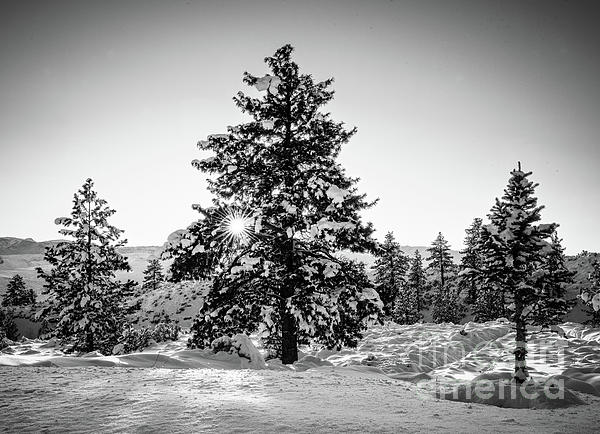 Ron Long Ltd Photography - Sierra Nevada Winter Sunrise B and W