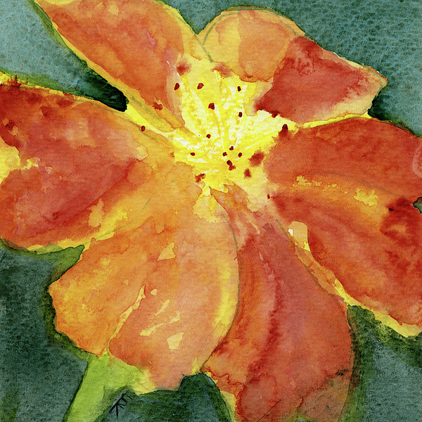 Elizabeth Reich - Signet Marigold, October Birth Flower