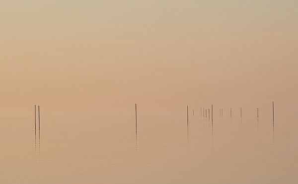 Landscape Photographs