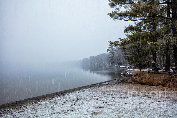 Renata Natale - Silence of Snow Falling at the Lake