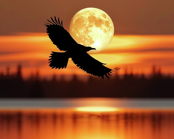 Leslie Reagan - Sunset Eagle Moon Flight Silhouette 