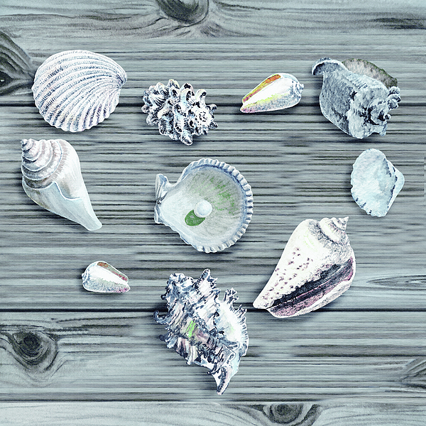 Irina Sztukowski - Silver Gray Seashells Heart On Ocean Shore Wooden Deck Beach House Art 
