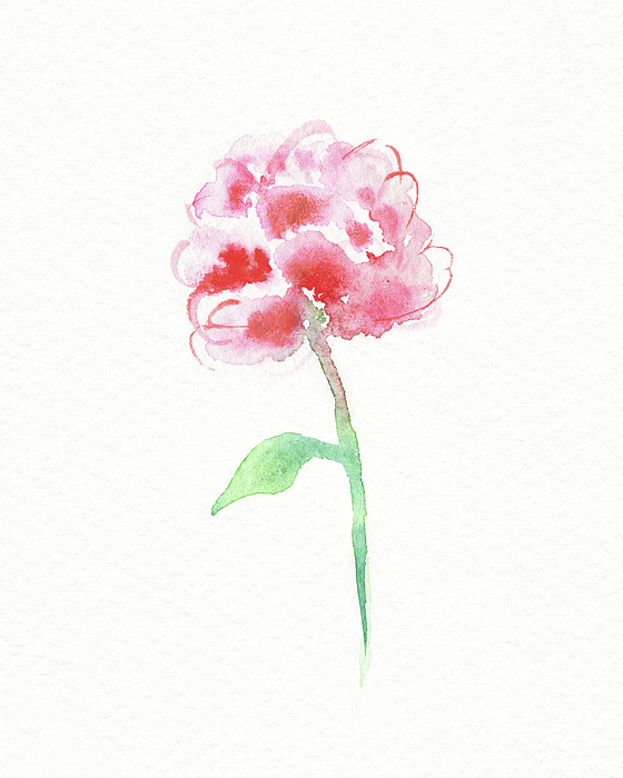 Irina Sztukowski - Simple Grace Beautiful Botanical Watercolor Pink Peony Flower I