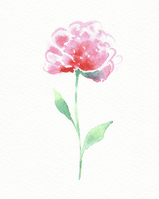 Irina Sztukowski - Simple Grace Beautiful Botanical Watercolor Pink Peony Flower II