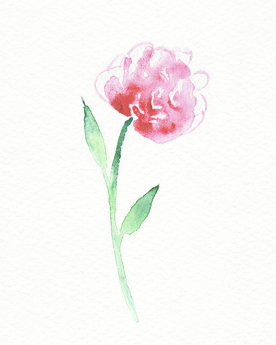 Irina Sztukowski - Simple Grace Beautiful Botanical Watercolor Pink Peony Flower III