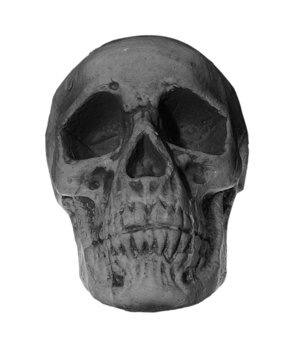Simple Human Skull Tote Bag by Silvy Tanamas - Pixels