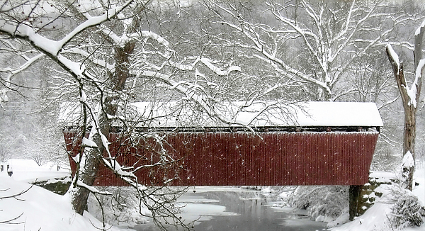 Donna Kennedy - Simpson Creek Bridge