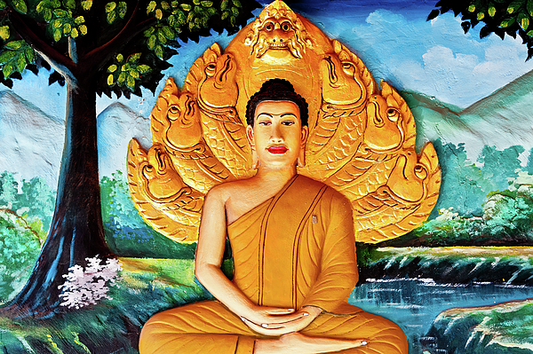 https://images.fineartamerica.com/images/artworkimages/medium/3/sitting-buddha-under-the-cobra-cambodia-lie-yim.jpg