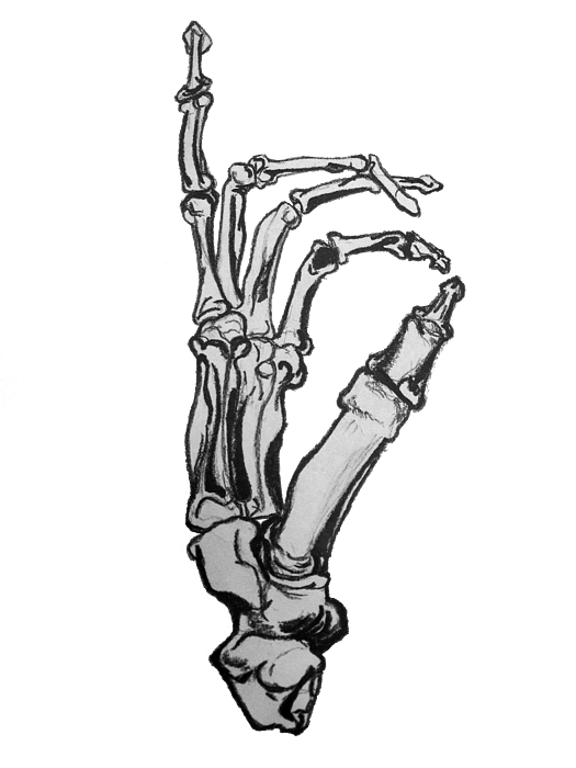 Digital illustration of a skeleton hand (jessondesign) : r