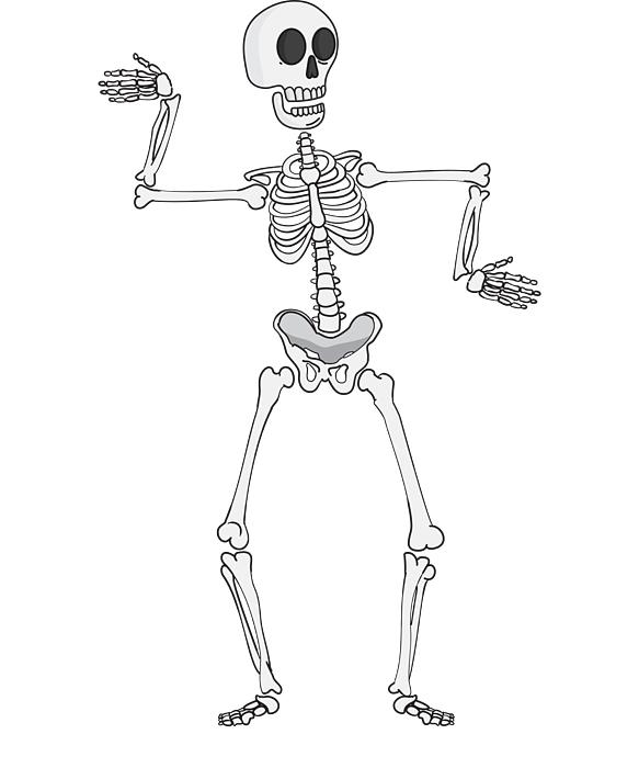 Skeleton Vector Clipart Skeleton Dance Like an Egyptian Duvet Cover for ...