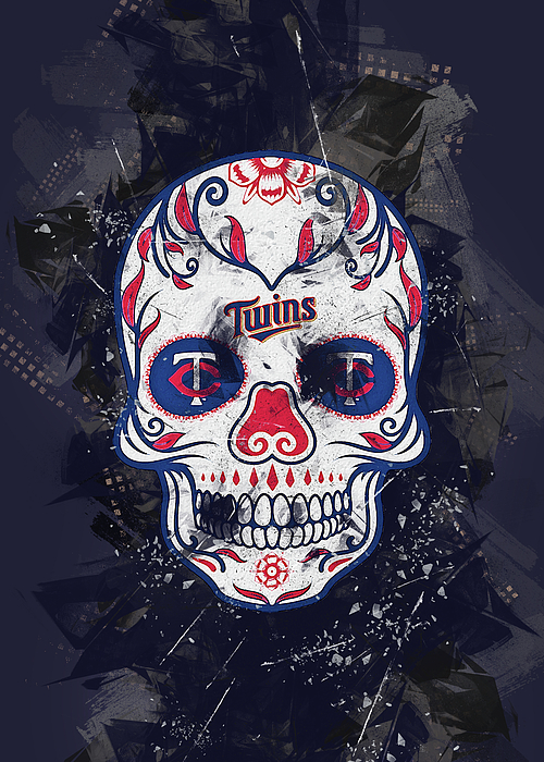 Official Minnesota Twins Face Covering, Twins Masks, Twins Fabric Face  Coverings