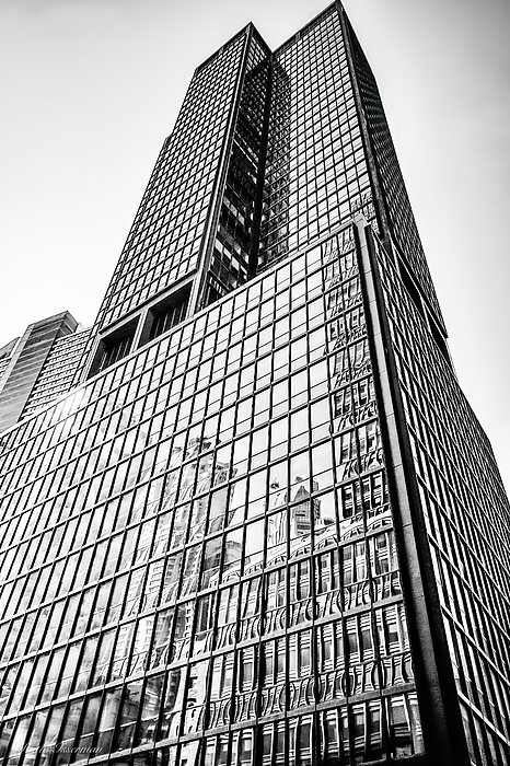 Kathi Isserman - Skyscraper