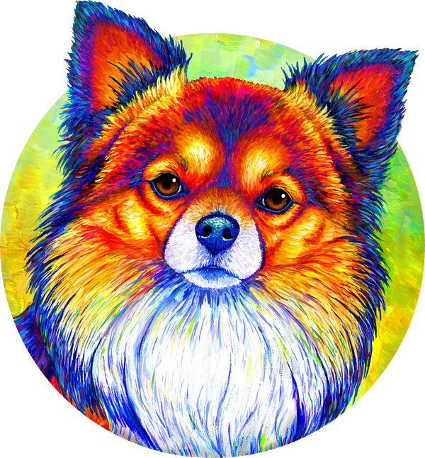 https://images.fineartamerica.com/images/artworkimages/medium/3/small-and-sassy-colorful-rainbow-chihuahua-dog-rebecca-wang-transparent.png