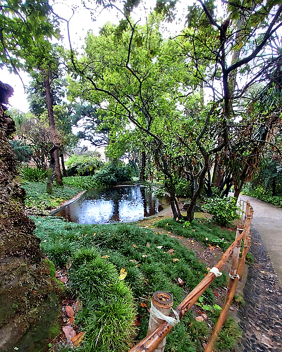 Irina Sztukowski - Small Pond In Botanical Garden Old Lisbon Historical Downtown Portugal 