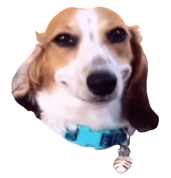 Smiling Dog Meme Sticker by Hound Gallery - Pixels